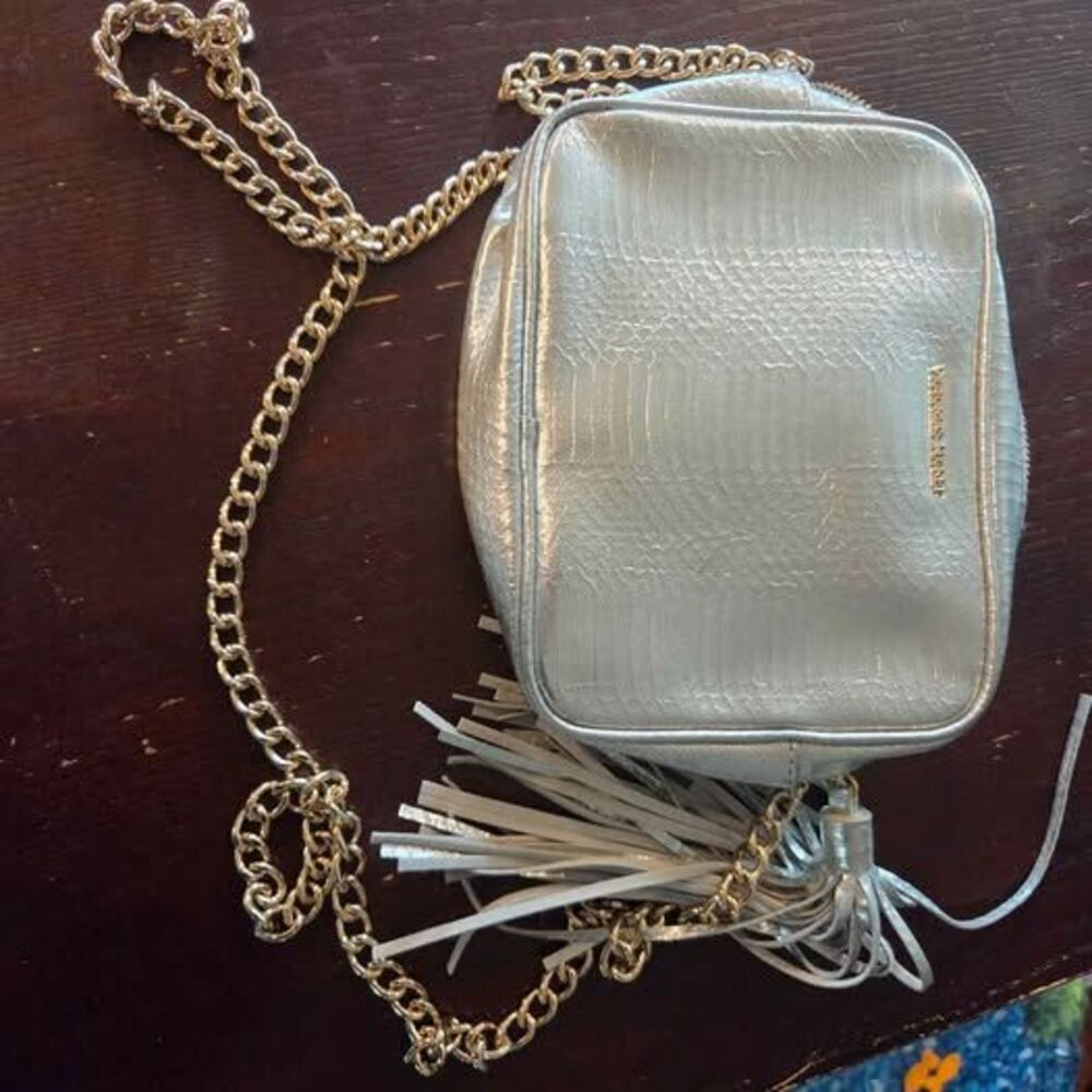 Victoria's Secret Silver Snakeskin Crossbody Bag